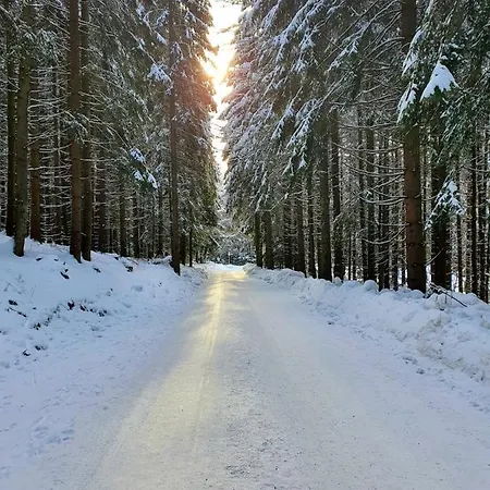 아파트 Apartmanica 606