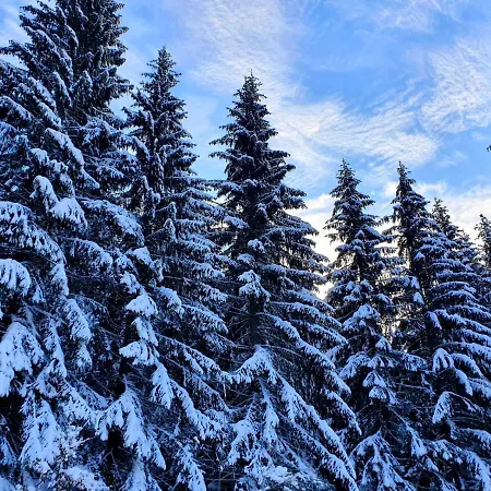 Apartmanica 606 * 도노발리